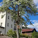 Sognoincadore Domegge di Cadore