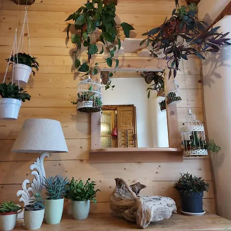 Couette-café Sognoincadore Domegge di Cadore