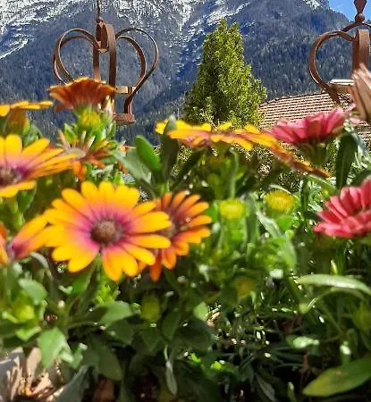 Couette-café Sognoincadore Domegge di Cadore