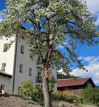 Sognoincadore Domegge di Cadore