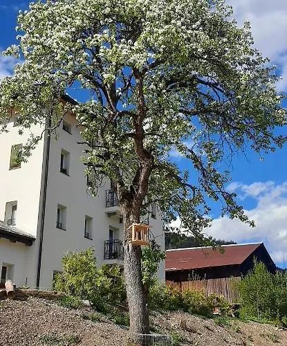 Sognoincadore Domegge di Cadore